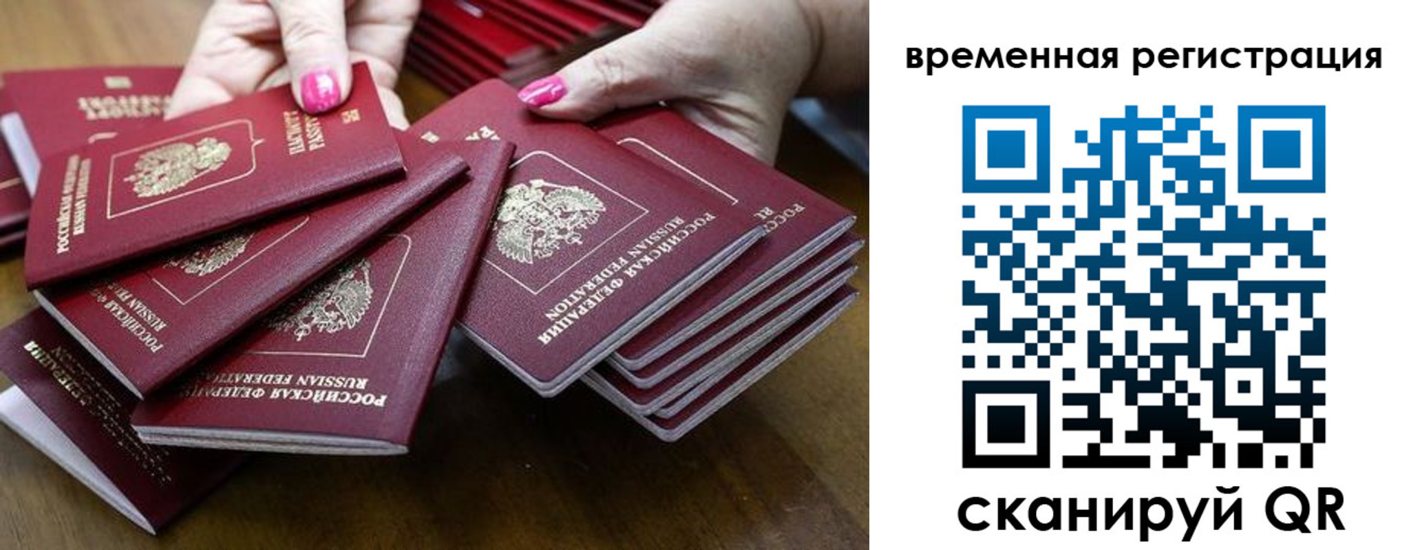 временная регистрация поиск в Каменск-Шахтинском
